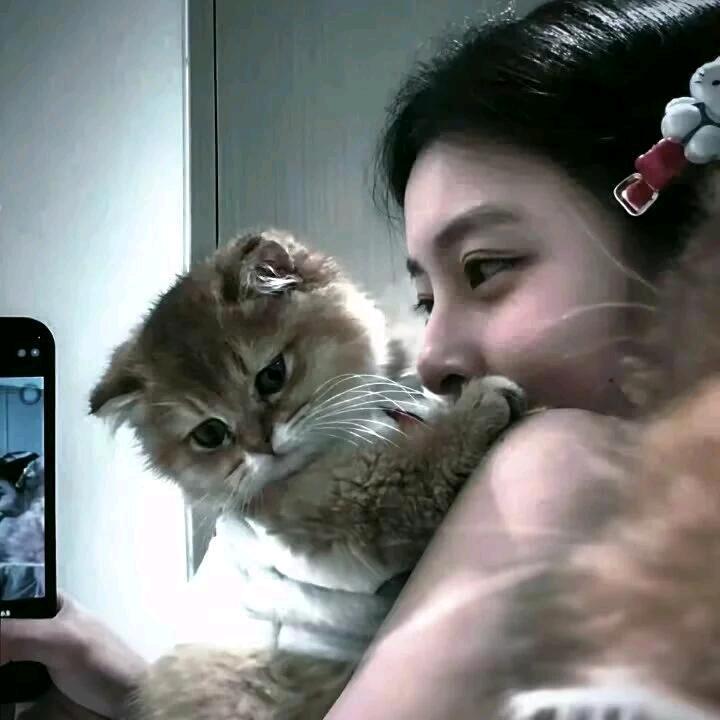 呼拉呼噜