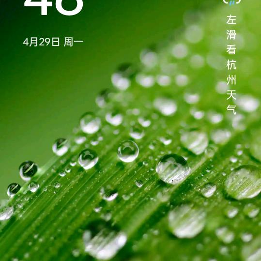 小小太阳头像