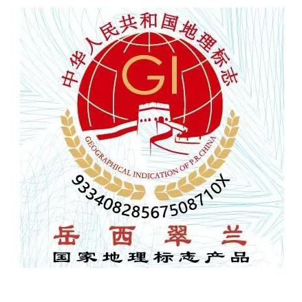 岳西翠兰地理商标认证生产厂家—皖农合茶业