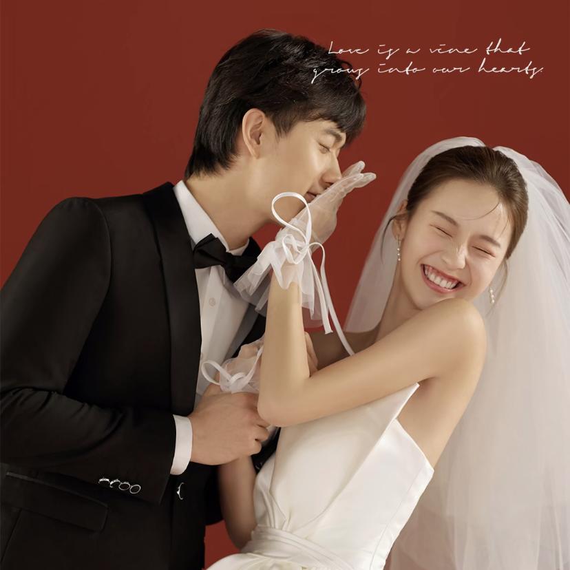 蓝桉树与释槐鸟