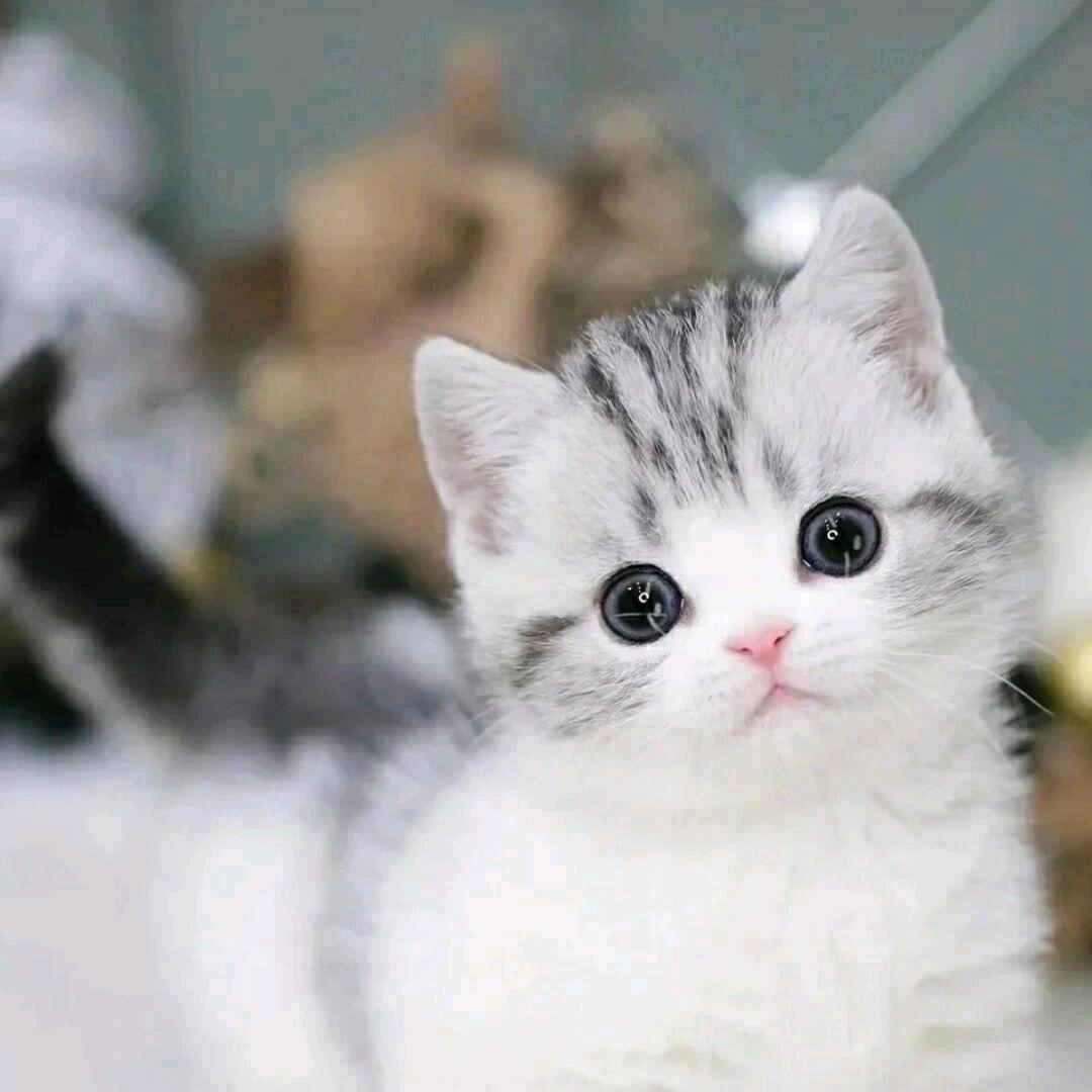 汤老师生活馆