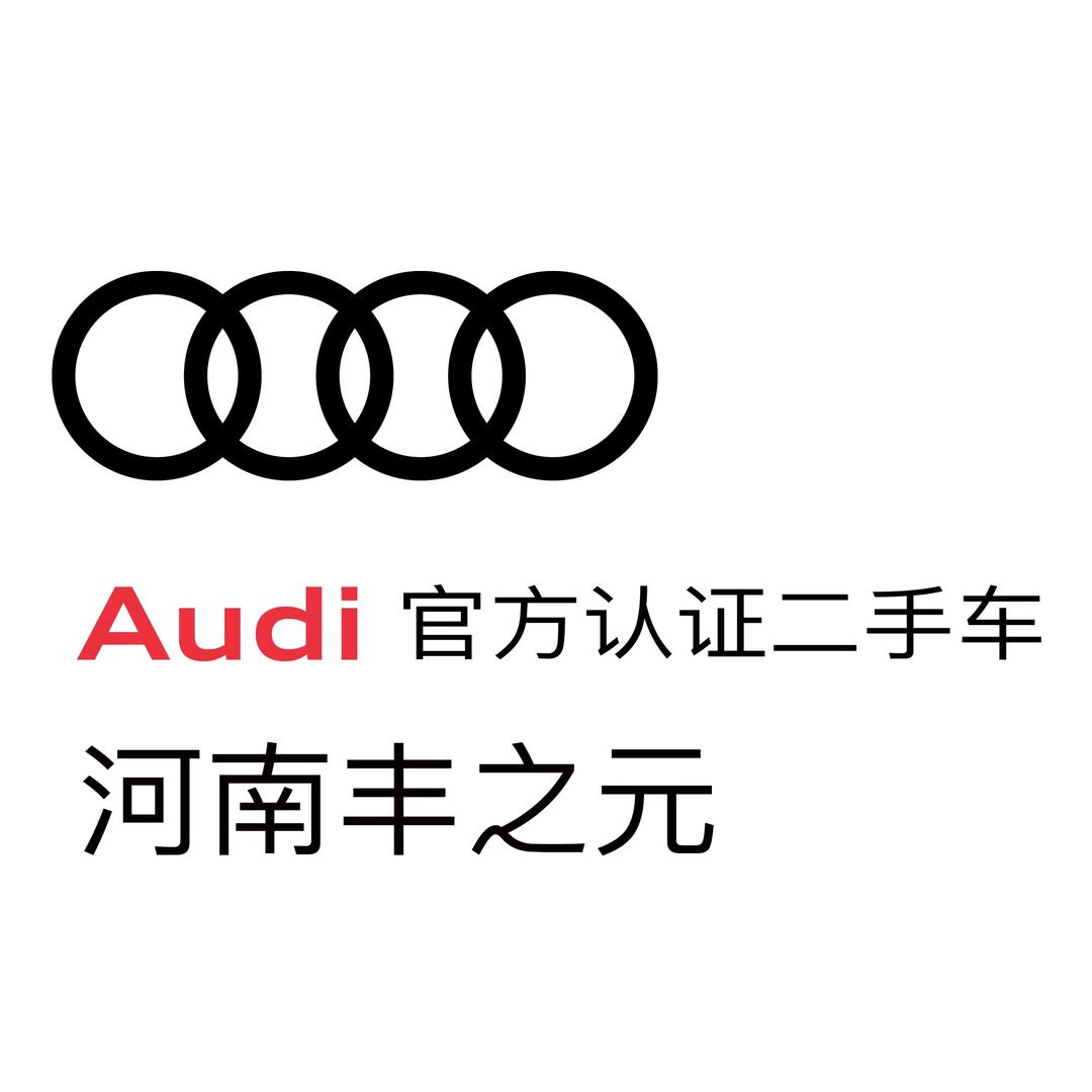 河南丰之元奥迪二手车