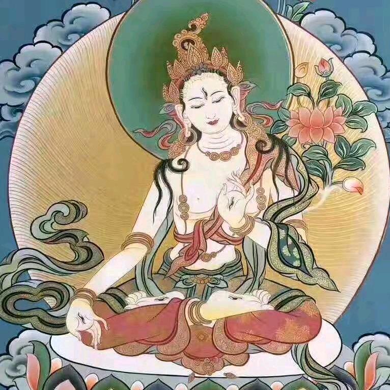 Zm🪷