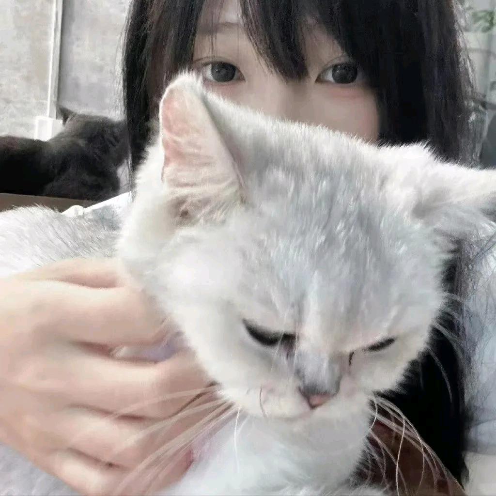 虾堡