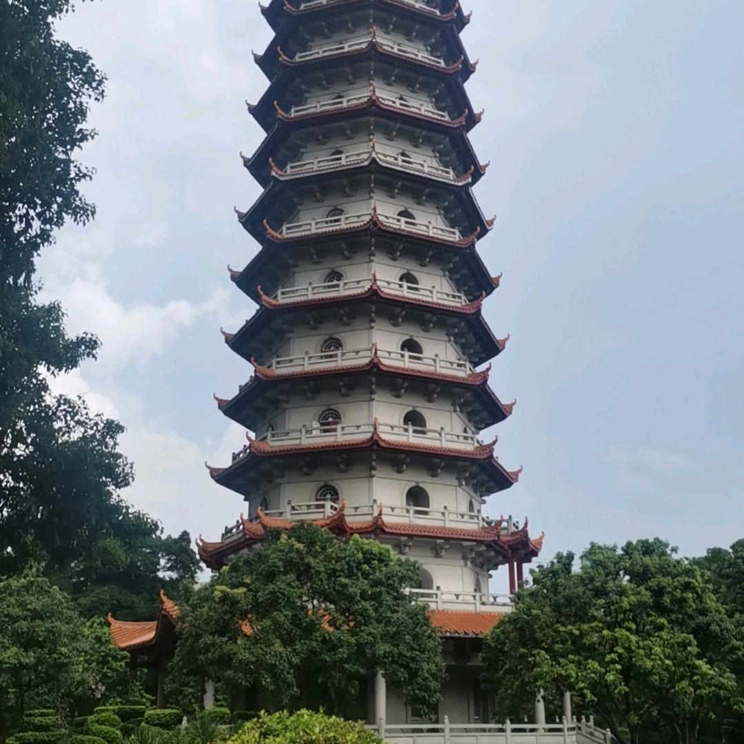 我是……啊国