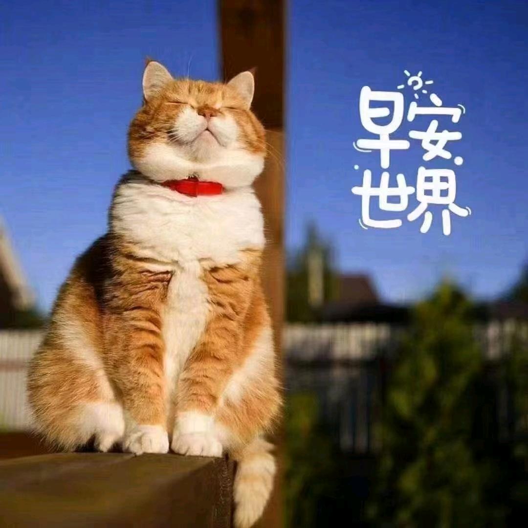 娜娜N