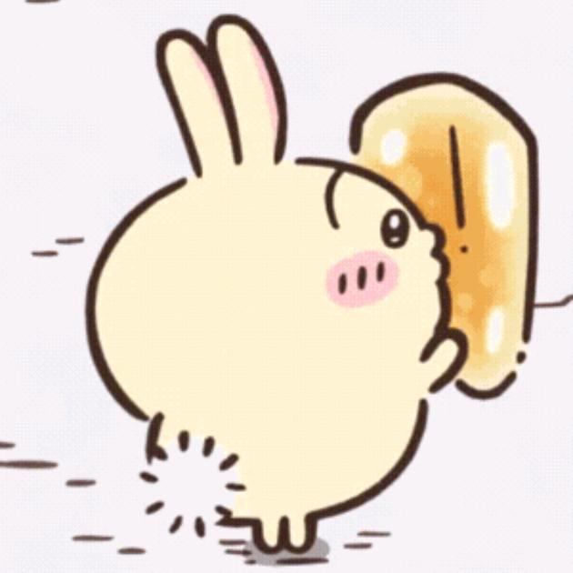 小鱼天天开心