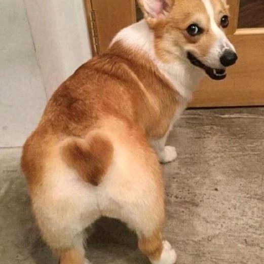 晓不得
