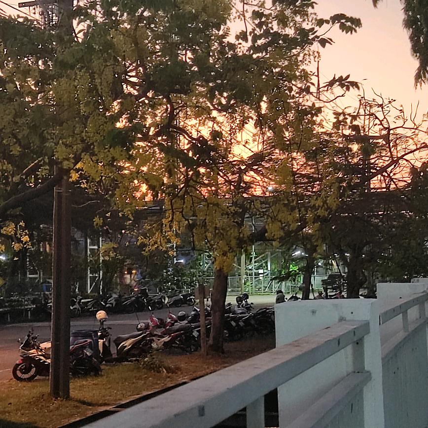 山的那边海的那边