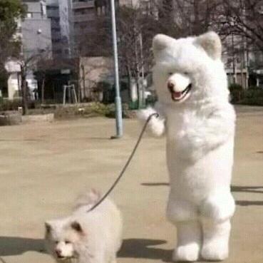 看看看