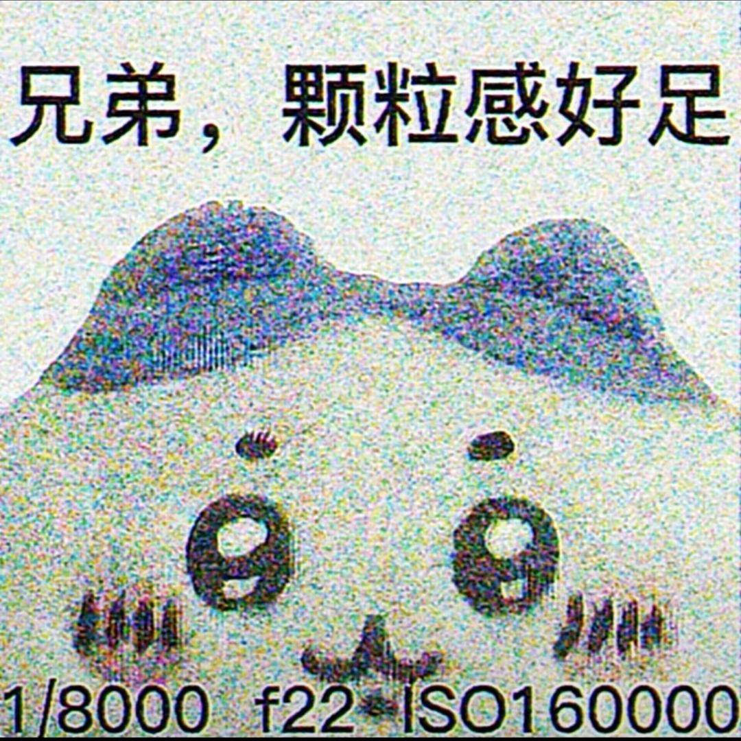 白初