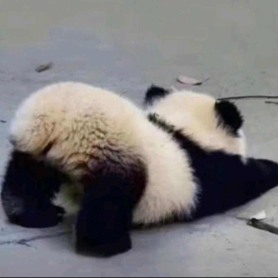 栋.