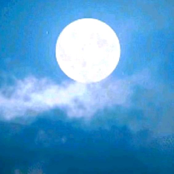 西海情歌