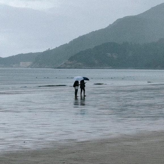 是月(看我主叶)