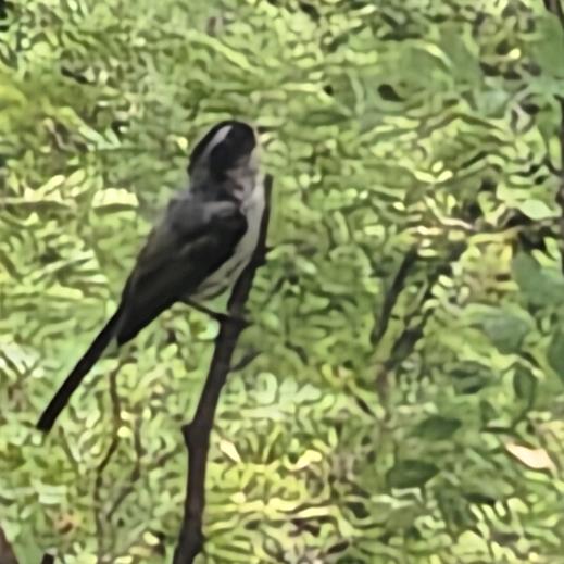 张文海购物门市搞笑