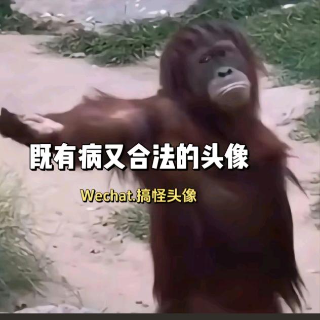 伤感歌