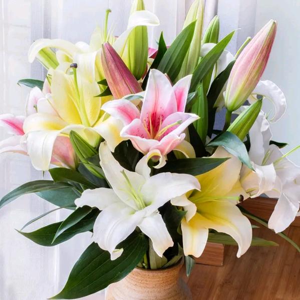 依儿爸（上午）