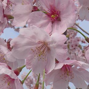 —       轻kay💤🐮