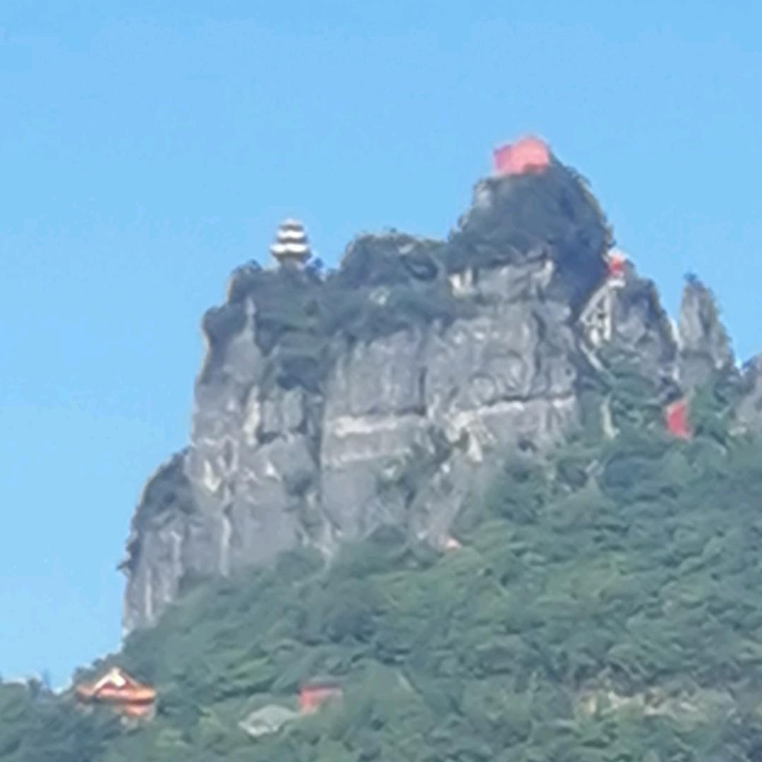 龙哥