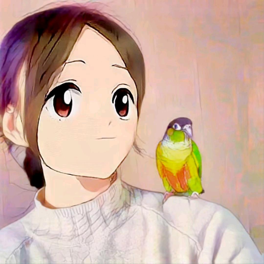 贝贝鹦鹉🦜