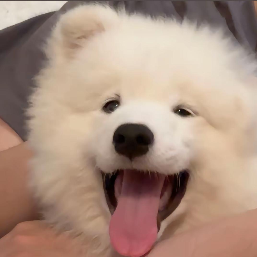 有缘再见