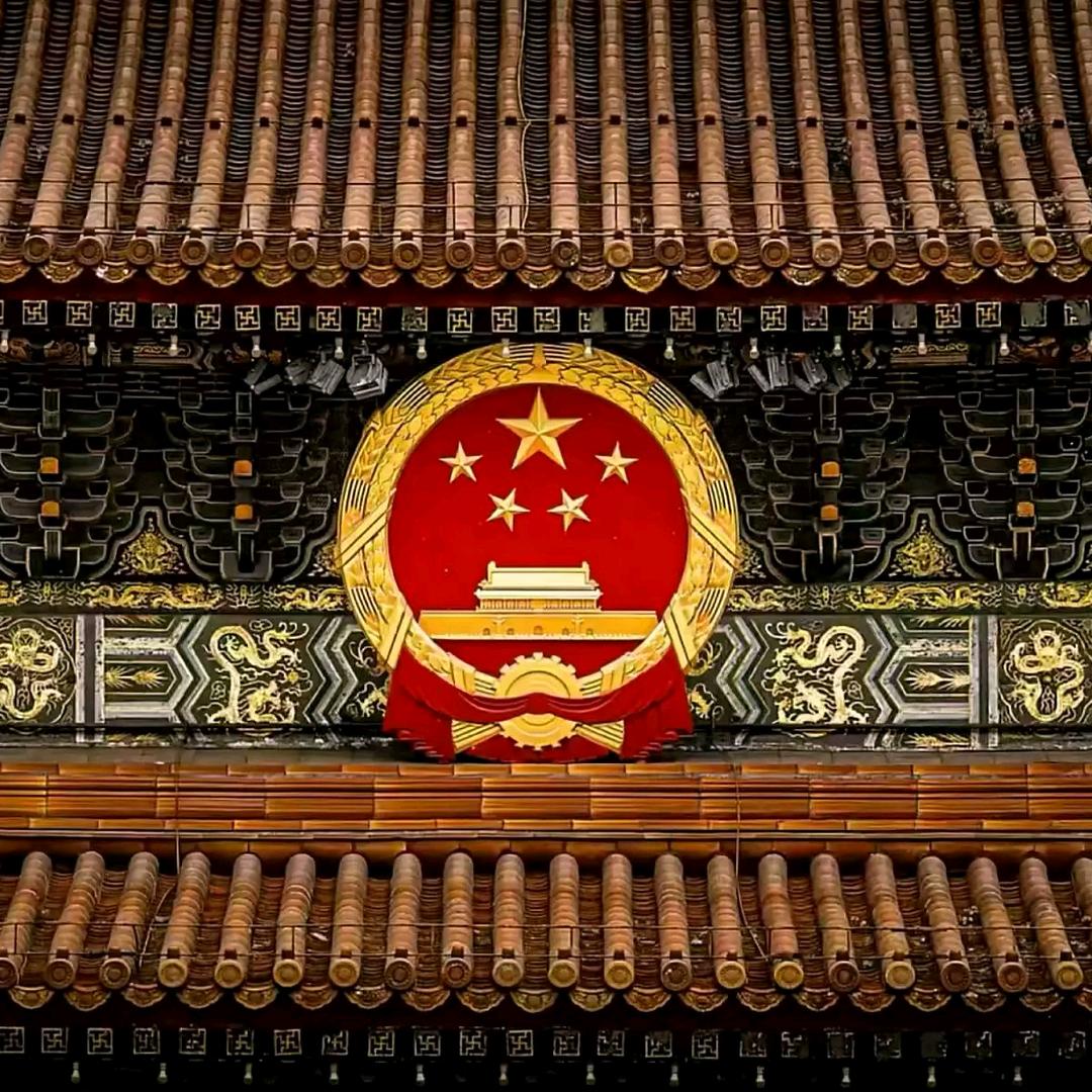 ︋︋︋︋︋︋︋