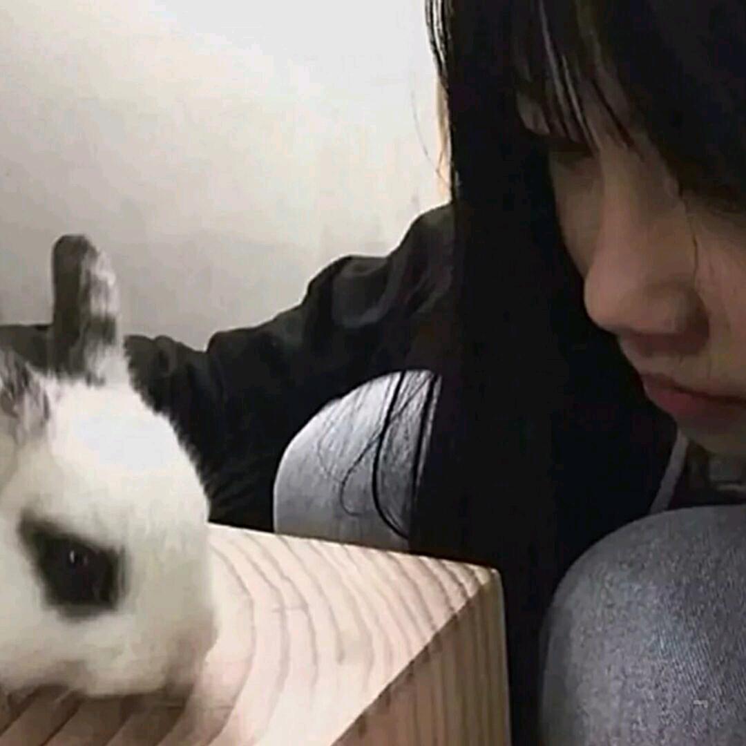 酢欢（直播号）