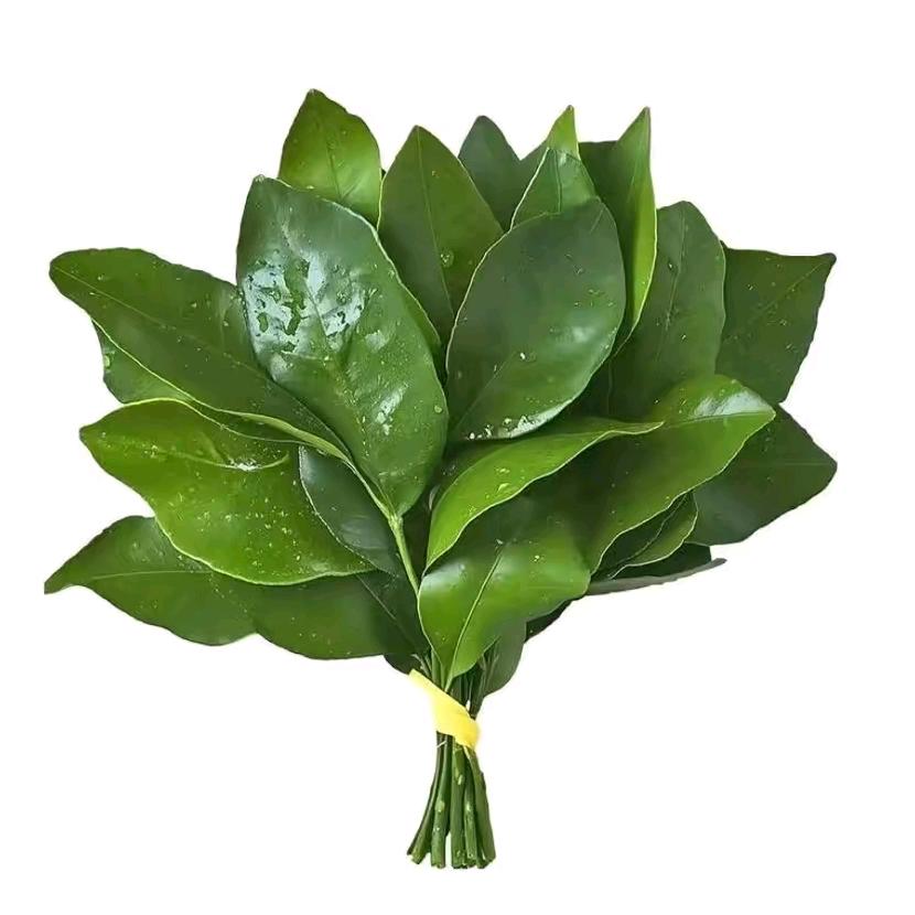 宸