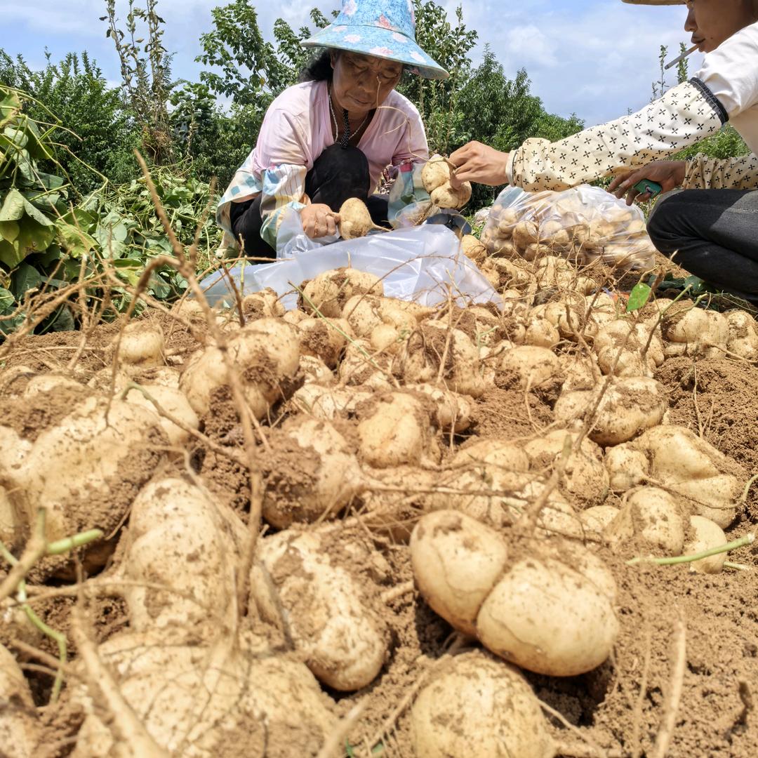 食蕴鲜水果旗舰店
