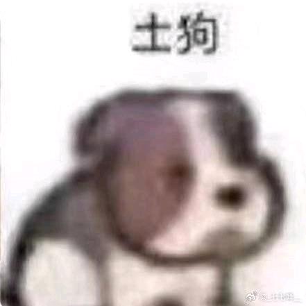 年轻的土狗