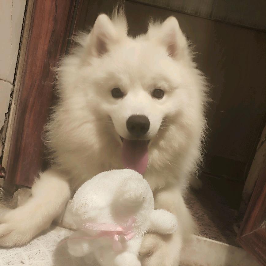 ticy