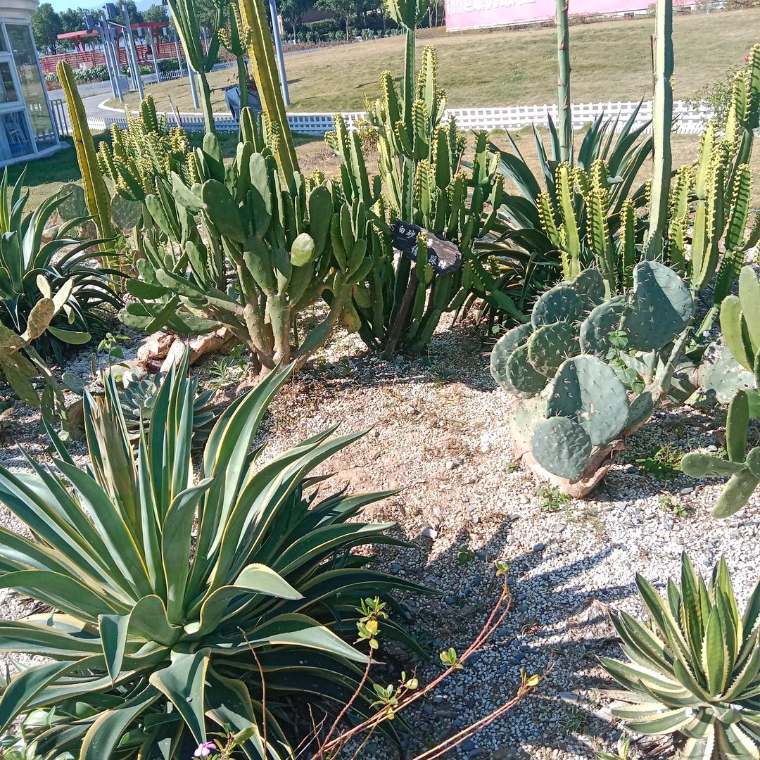 ∴清∴醉在山水间