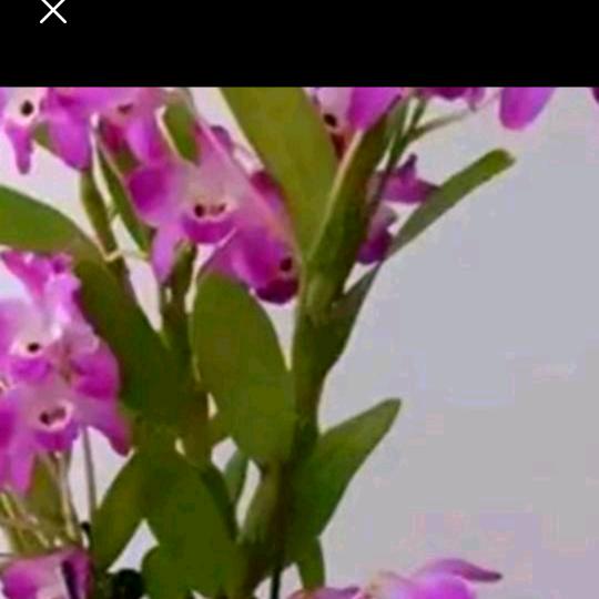 平凡的美好回忆