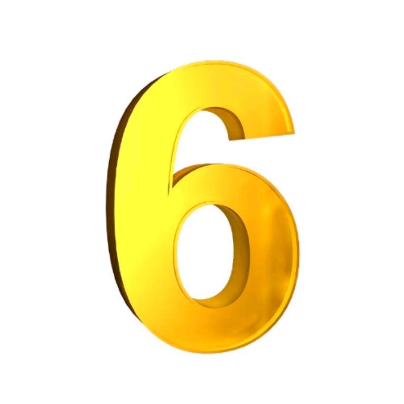 老6