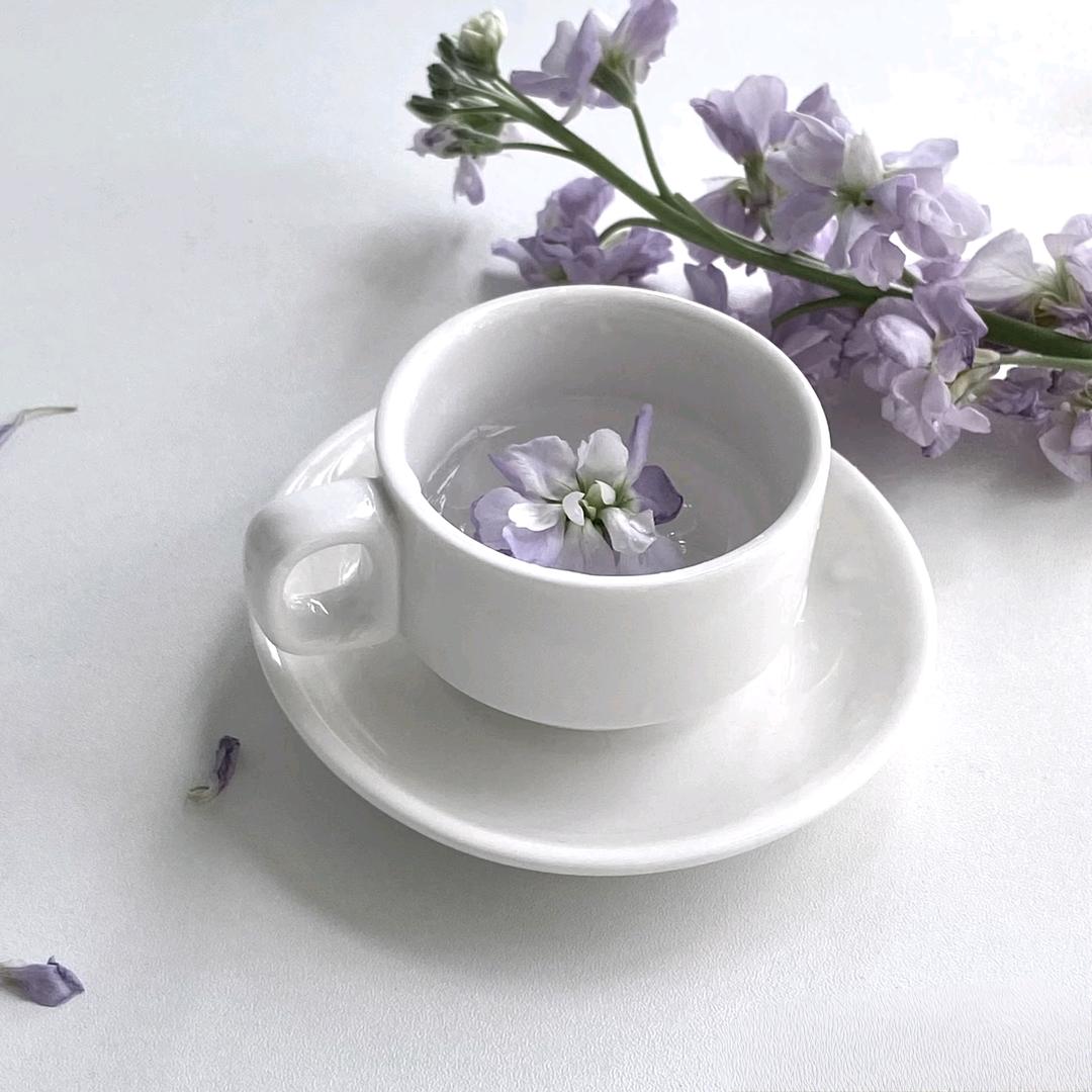 𝙛𝙧𝙚𝙚𝙨𝙞𝙖.