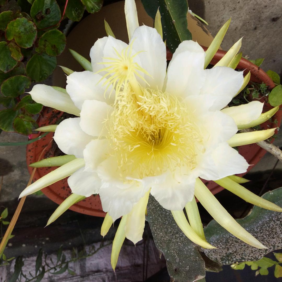 路上的随手一拍