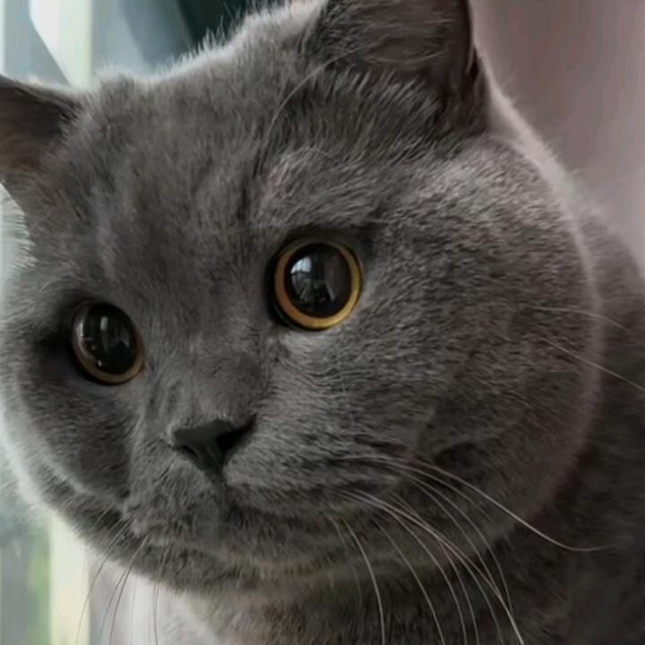 梅🌸香知寒