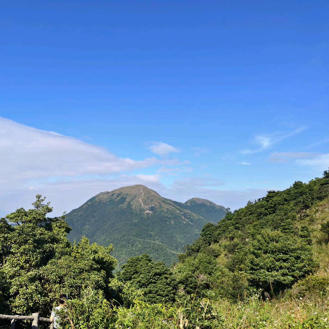 小杜  兼职自动化设计 10年设计经验