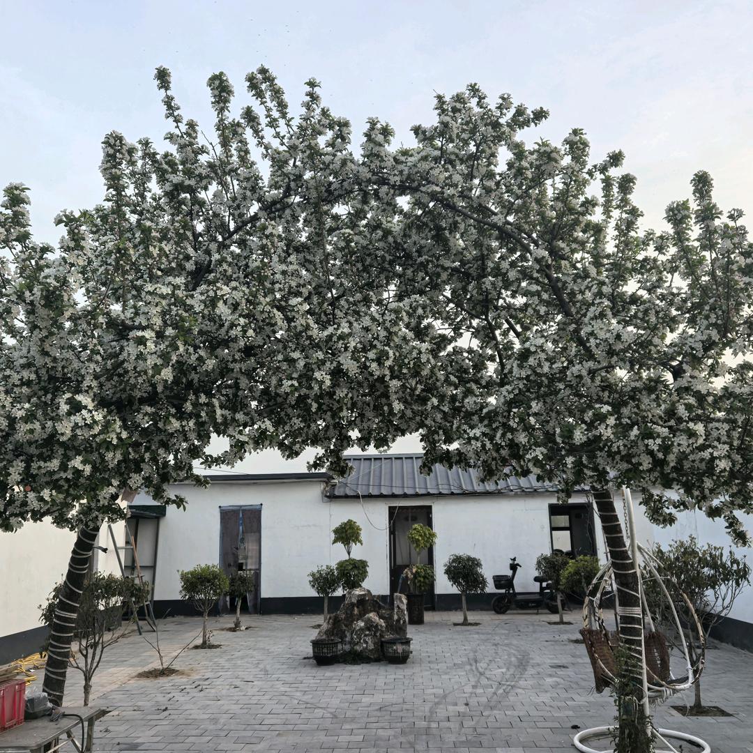 久朋休闲渔业农家院