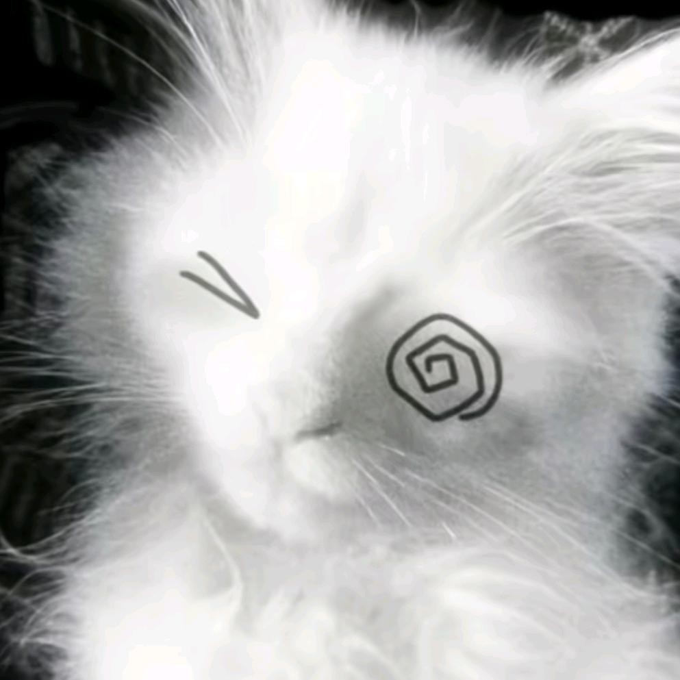 想去旅行的鲲鲲