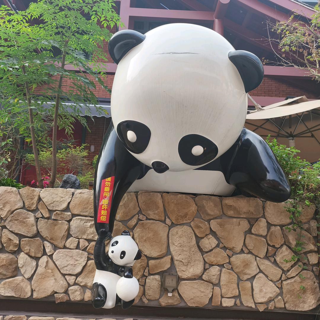 八爪鱼少一只爪