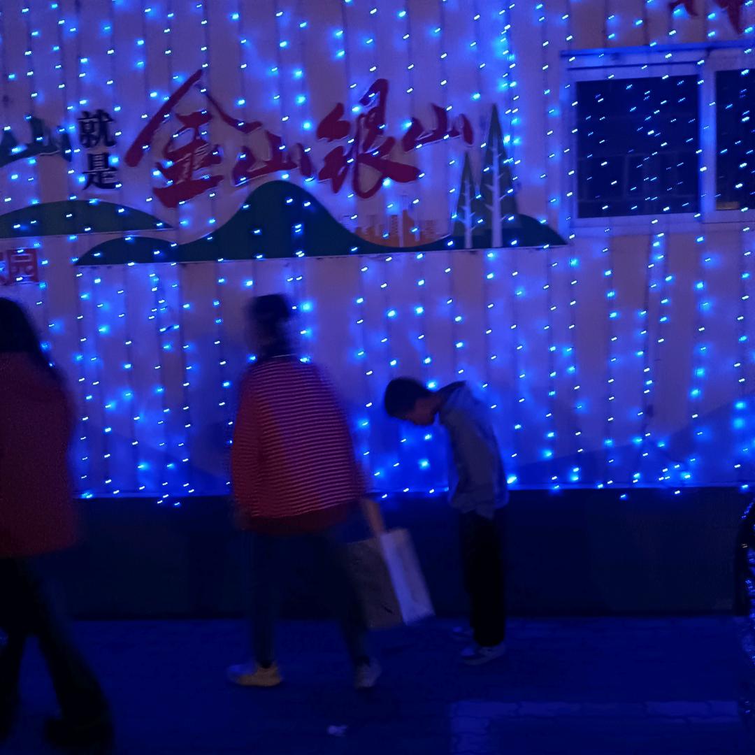 小狮子爱静美女