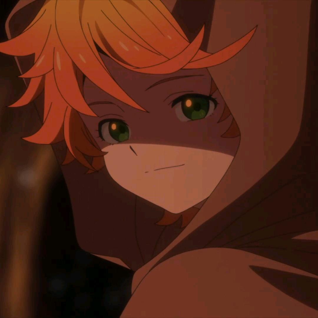 香橼