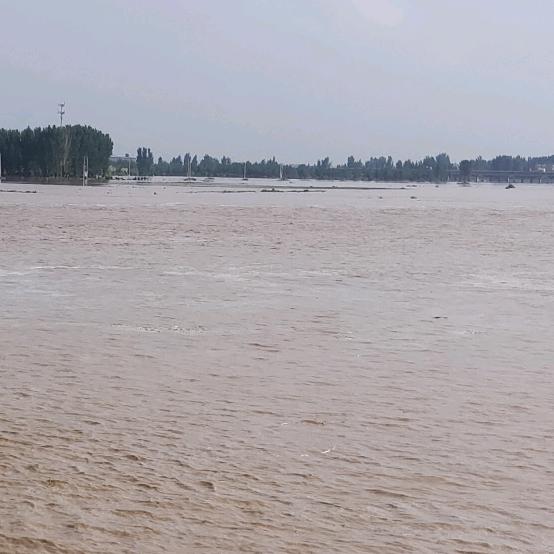 老白手工粉条厂