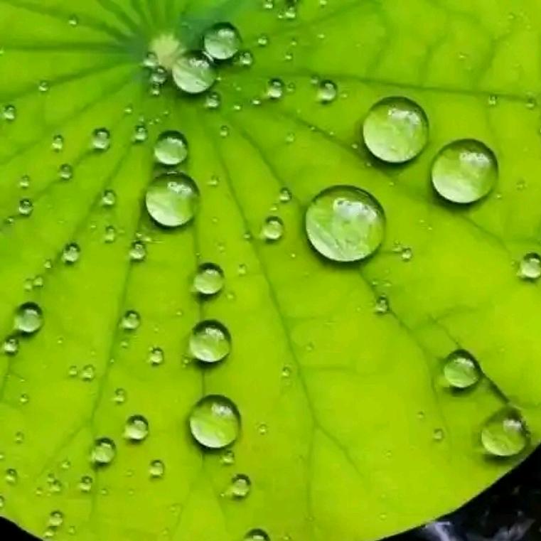 孚瑞特纳米仿生电子超疏水涂料