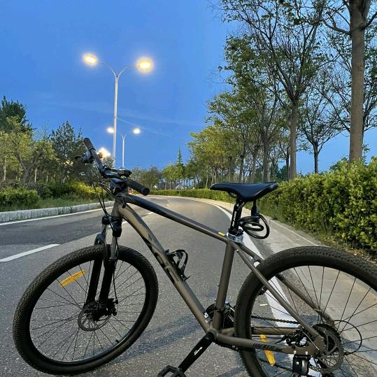 独行者90后