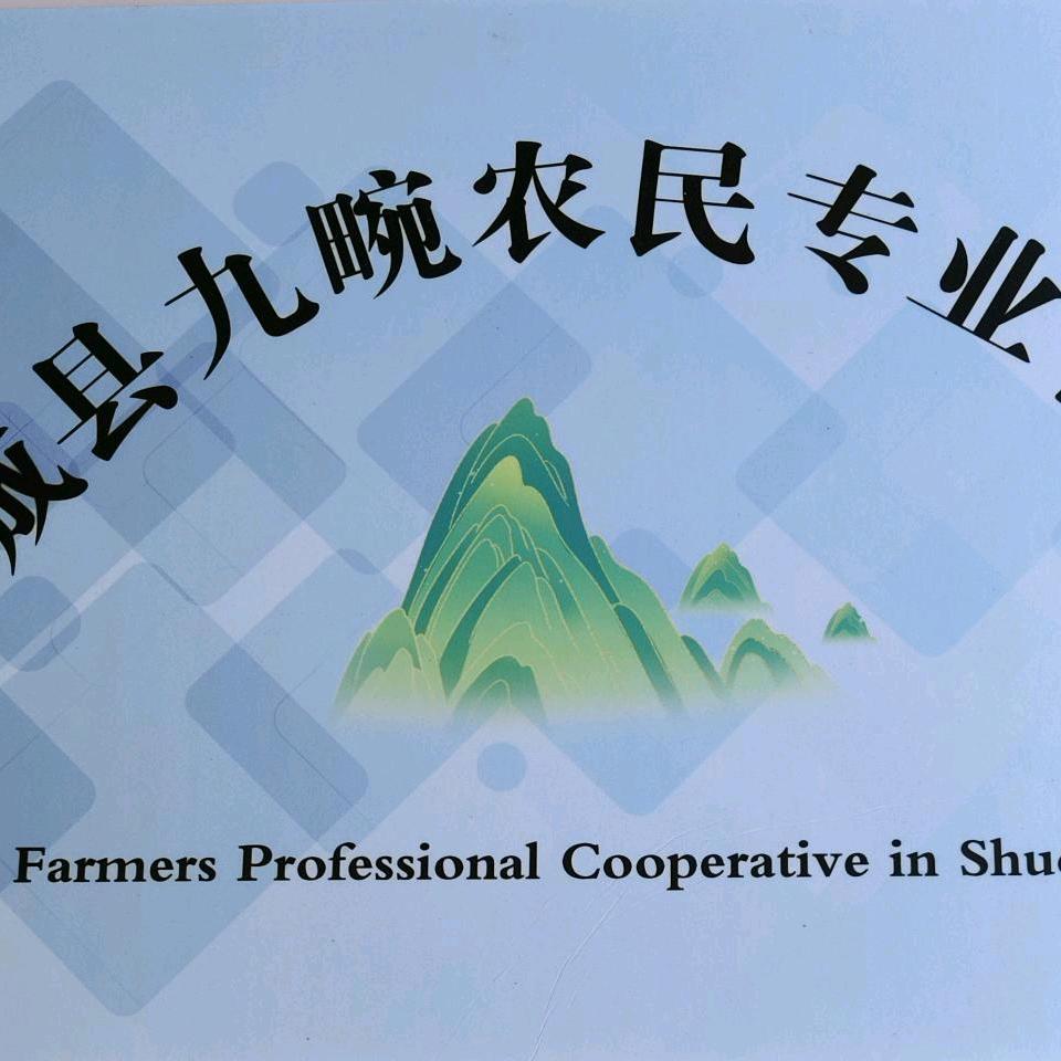 庐镇九畹茶坊（
