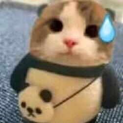 亮亮很忙😅