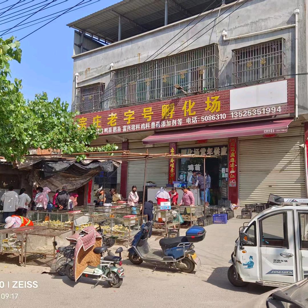 宗庄老字号孵化场