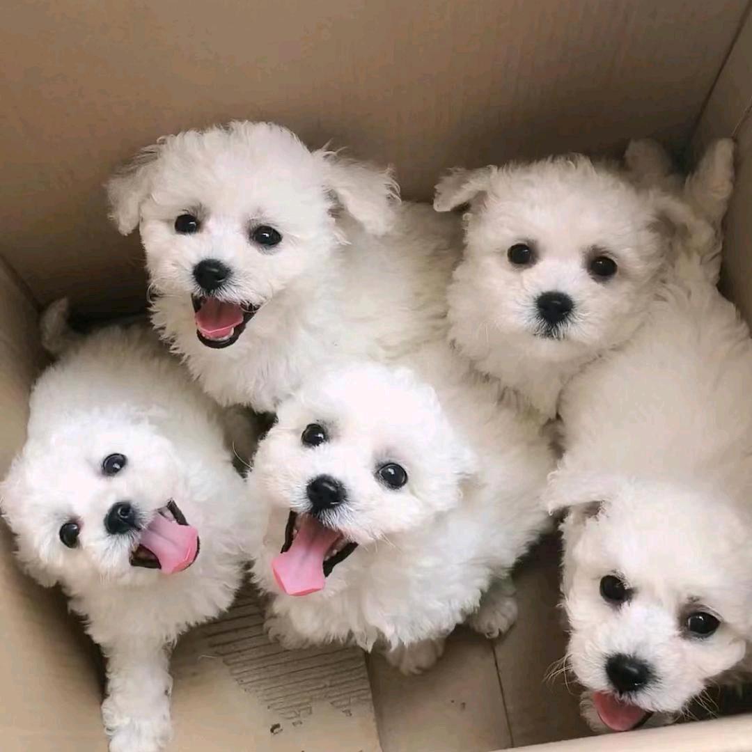 小王百货商行(好物分享)